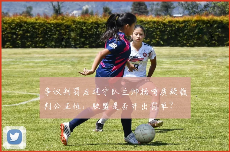 争议判罚后辽宁队主帅杨鸣质疑裁判公正性，联盟是否开出罚单？